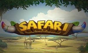 Safari