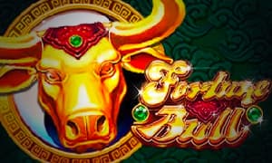 fortune bull