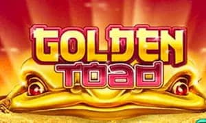 Golden Toad