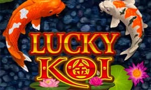 Lucky Koi
