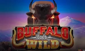Buffalo Goes Wild