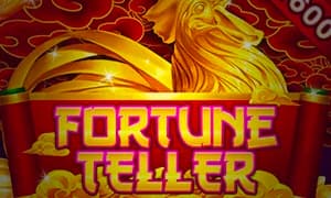 fortune teller