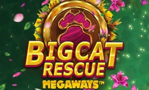 Big Cat Rescue Megaways